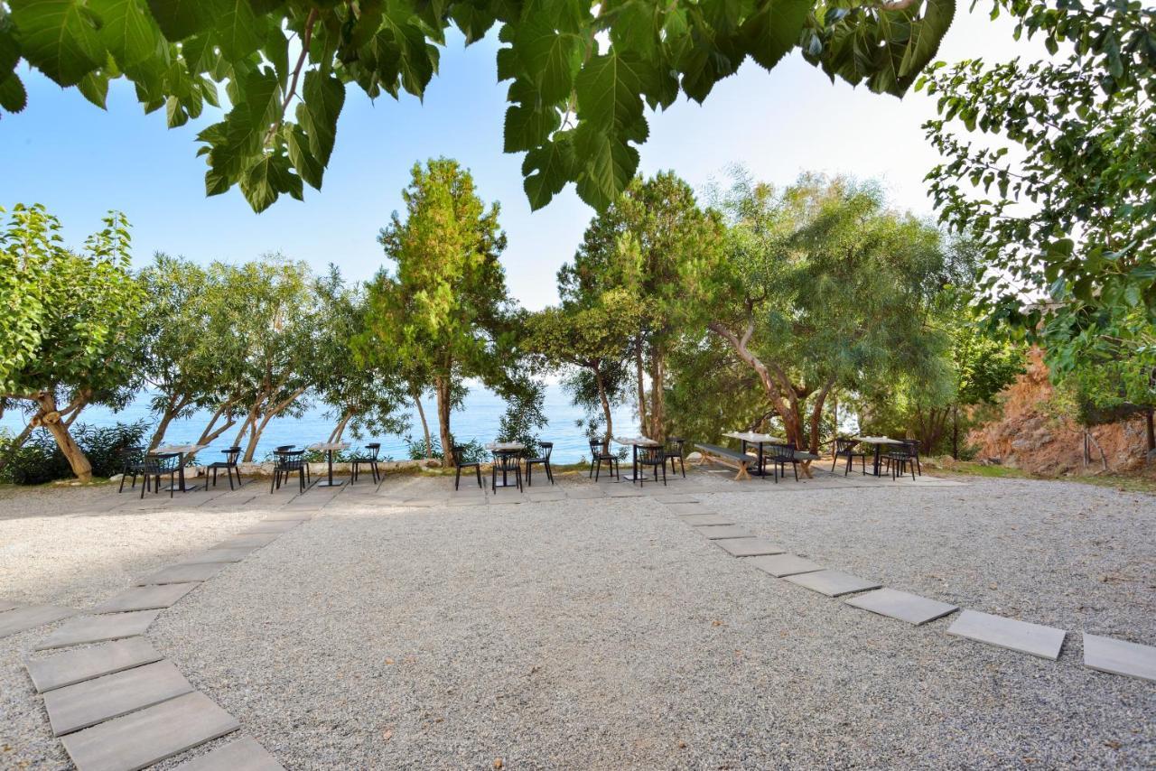 Ilingas Mare Aparthotel Khora Sfakion Exterior photo